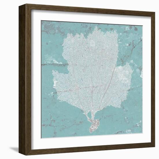 Graphic Sea Fan III-Studio W-Framed Art Print