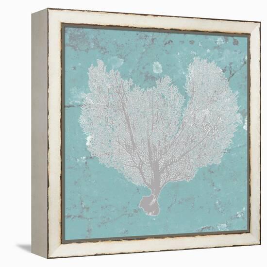 Graphic Sea Fan VI-Studio W-Framed Stretched Canvas