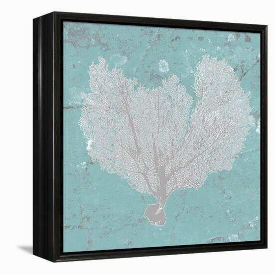 Graphic Sea Fan VI-Studio W-Framed Stretched Canvas