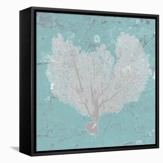 Graphic Sea Fan VI-Studio W-Framed Stretched Canvas