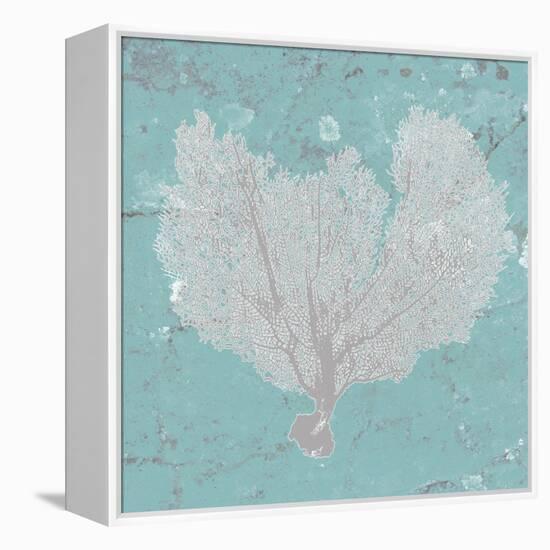 Graphic Sea Fan VI-Studio W-Framed Stretched Canvas