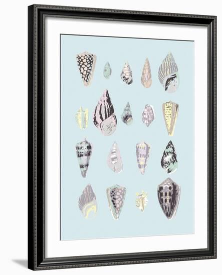 Graphic Seashells II-Joni Whyte-Framed Giclee Print