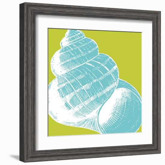 Graphic Shell III-N. Harbick-Framed Art Print