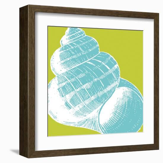 Graphic Shell III-N. Harbick-Framed Art Print