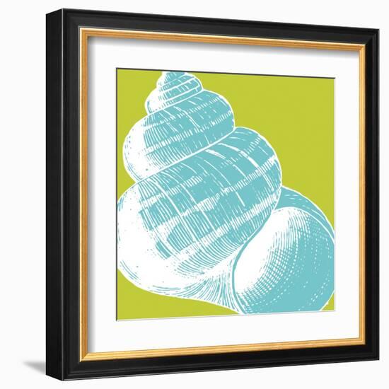 Graphic Shell III-N. Harbick-Framed Art Print