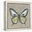 Graphic Spring Butterfly I-Jade Reynolds-Framed Stretched Canvas