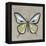 Graphic Spring Butterfly I-Jade Reynolds-Framed Stretched Canvas