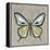Graphic Spring Butterfly I-Jade Reynolds-Framed Stretched Canvas