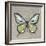 Graphic Spring Butterfly I-Jade Reynolds-Framed Art Print