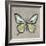 Graphic Spring Butterfly I-Jade Reynolds-Framed Art Print