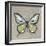 Graphic Spring Butterfly I-Jade Reynolds-Framed Art Print