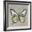 Graphic Spring Butterfly I-Jade Reynolds-Framed Art Print