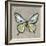 Graphic Spring Butterfly I-Jade Reynolds-Framed Art Print