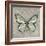 Graphic Spring Butterfly II-Jade Reynolds-Framed Art Print