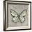 Graphic Spring Butterfly II-Jade Reynolds-Framed Art Print