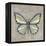 Graphic Spring Butterfly II-Jade Reynolds-Framed Stretched Canvas