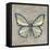 Graphic Spring Butterfly II-Jade Reynolds-Framed Stretched Canvas