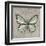 Graphic Spring Butterfly II-Jade Reynolds-Framed Art Print