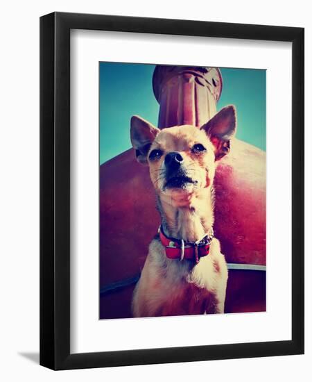 Photographic Print, , large