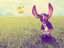 A Cute Basset Hound Chasing a Tennis Ball in a Park or Yard on the Grass Done with a Retro Vintage-graphicphoto-Photographic Print