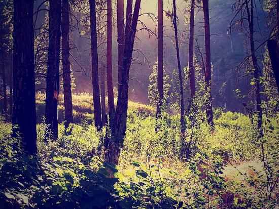 Photographic Print, , large