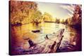Stretched Canvas Print