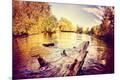 Photographic Print