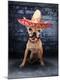 Premium Photographic Print