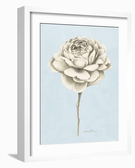 Graphite Botanical Study I-Grace Popp-Framed Art Print