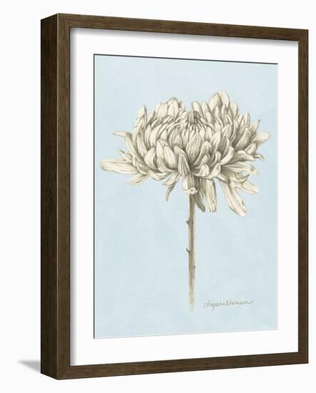 Graphite Botanical Study II-Grace Popp-Framed Art Print