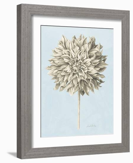 Graphite Botanical Study III-Grace Popp-Framed Art Print