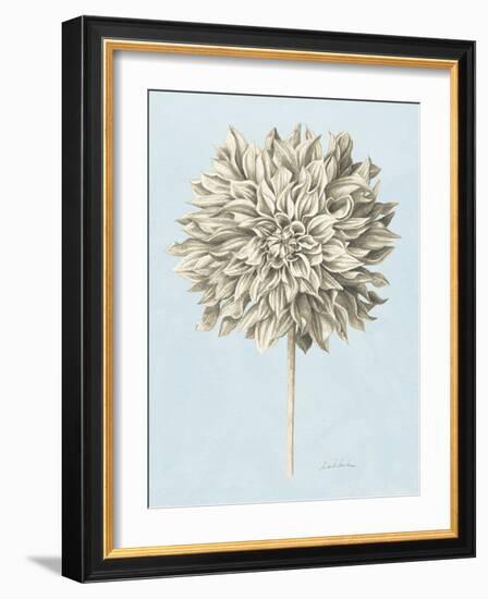 Graphite Botanical Study III-Grace Popp-Framed Art Print