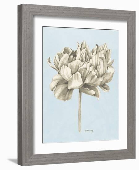 Graphite Botanical Study IV-Grace Popp-Framed Art Print