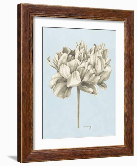 Graphite Botanical Study IV-Grace Popp-Framed Art Print