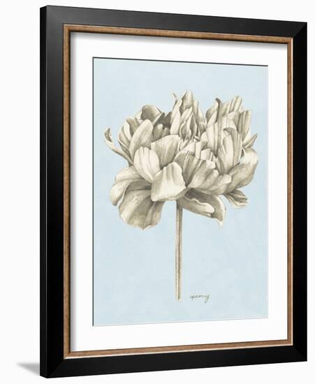 Graphite Botanical Study IV-Grace Popp-Framed Art Print