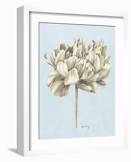 Graphite Botanical Study IV-Grace Popp-Framed Art Print