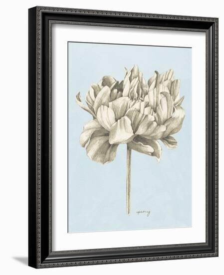 Graphite Botanical Study IV-Grace Popp-Framed Art Print