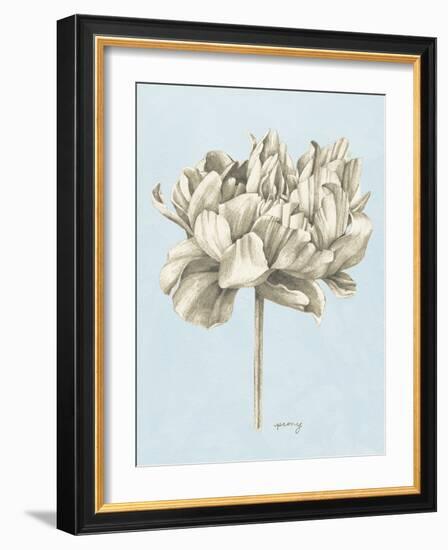 Graphite Botanical Study IV-Grace Popp-Framed Art Print
