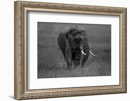 Graphite-Massimo Mei-Framed Photographic Print