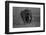 Graphite-Massimo Mei-Framed Photographic Print