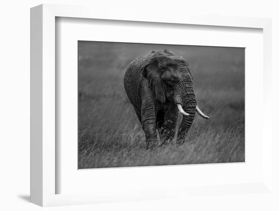 Graphite-Massimo Mei-Framed Photographic Print