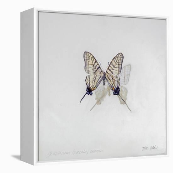 Graphium eurosus, 2014-Odile Kidd-Framed Premier Image Canvas