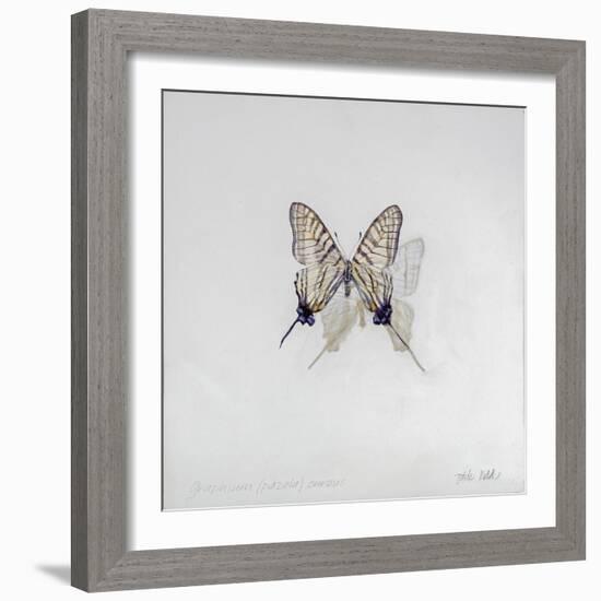 Graphium eurosus, 2014-Odile Kidd-Framed Giclee Print