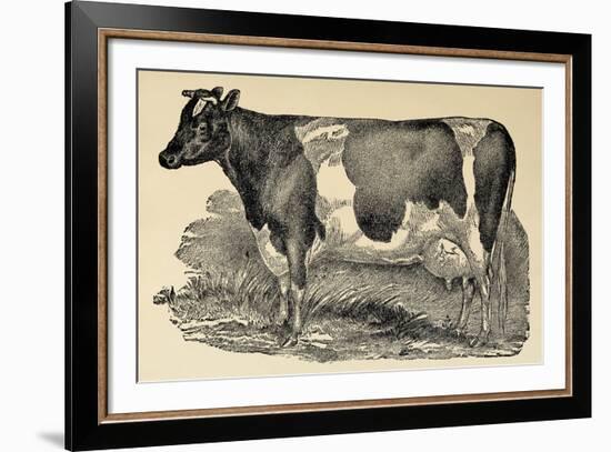 Grasmere Farm-Stephanie Monahan-Framed Giclee Print