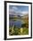 Grasmere Lake and Village from Loughrigg Fell, Lake District, Cumbria, England-Gavin Hellier-Framed Photographic Print