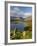 Grasmere Lake and Village from Loughrigg Fell, Lake District, Cumbria, England-Gavin Hellier-Framed Photographic Print