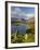 Grasmere Lake and Village from Loughrigg Fell, Lake District, Cumbria, England-Gavin Hellier-Framed Photographic Print