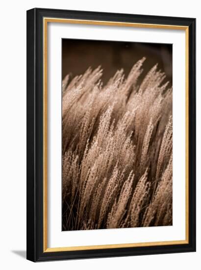 Grass 16-Mareike Böhmer-Framed Giclee Print