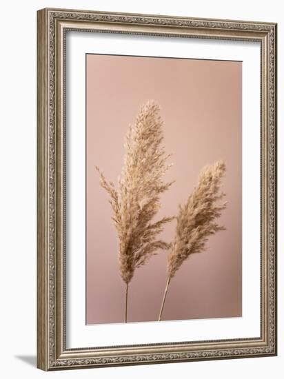 Grass 22-Mareike Böhmer-Framed Giclee Print