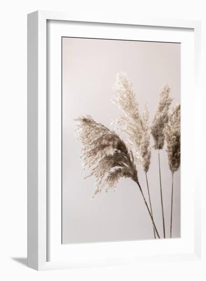 Grass 24X-Mareike Böhmer-Framed Giclee Print